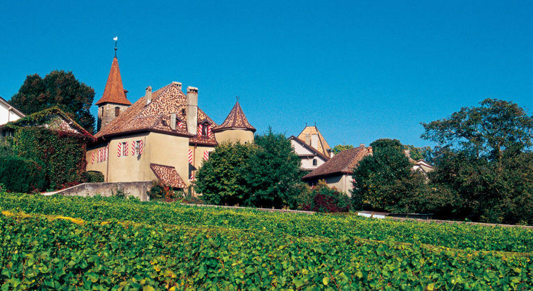 Château de Rochefort