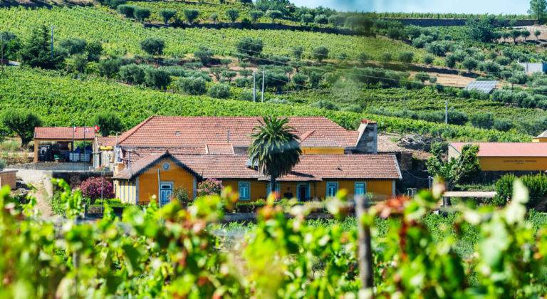 Quinta do Monte Travesso