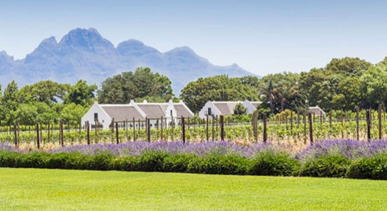 La Motte Wine Estate