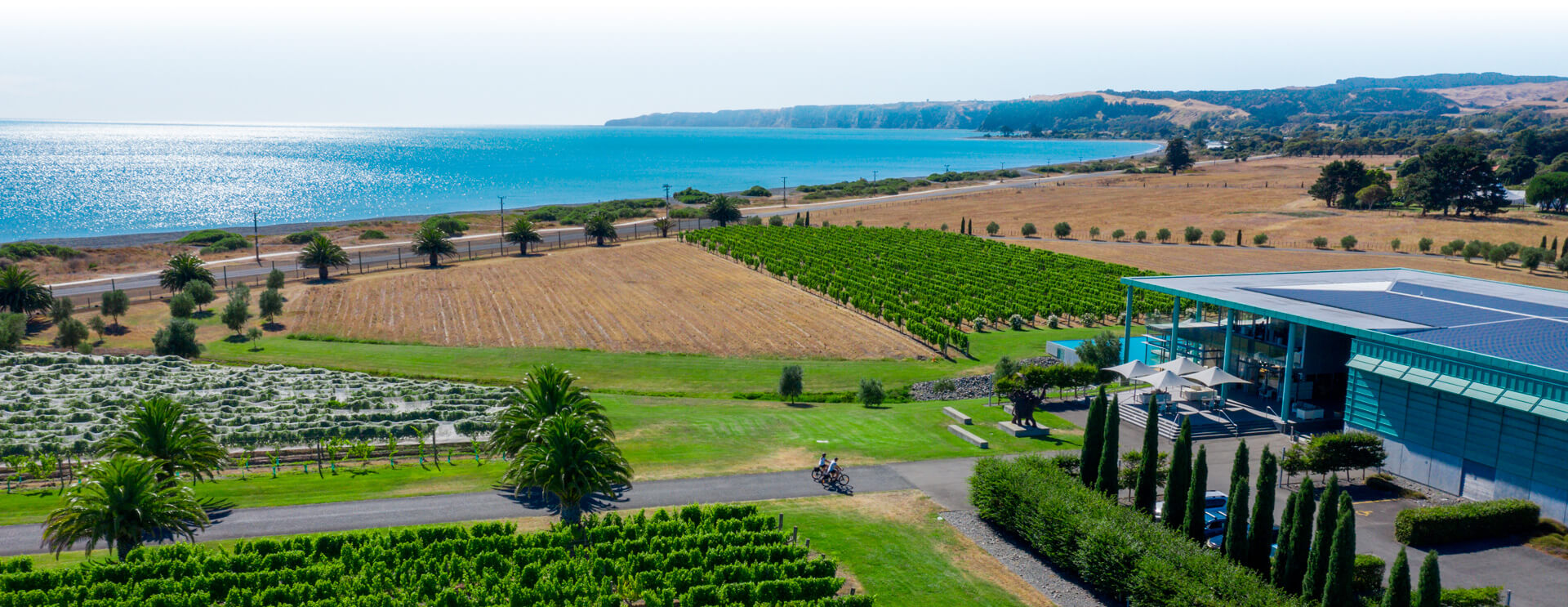 Hawke’s Bay rebounds with ‘exceptional vintage’ after cyclone