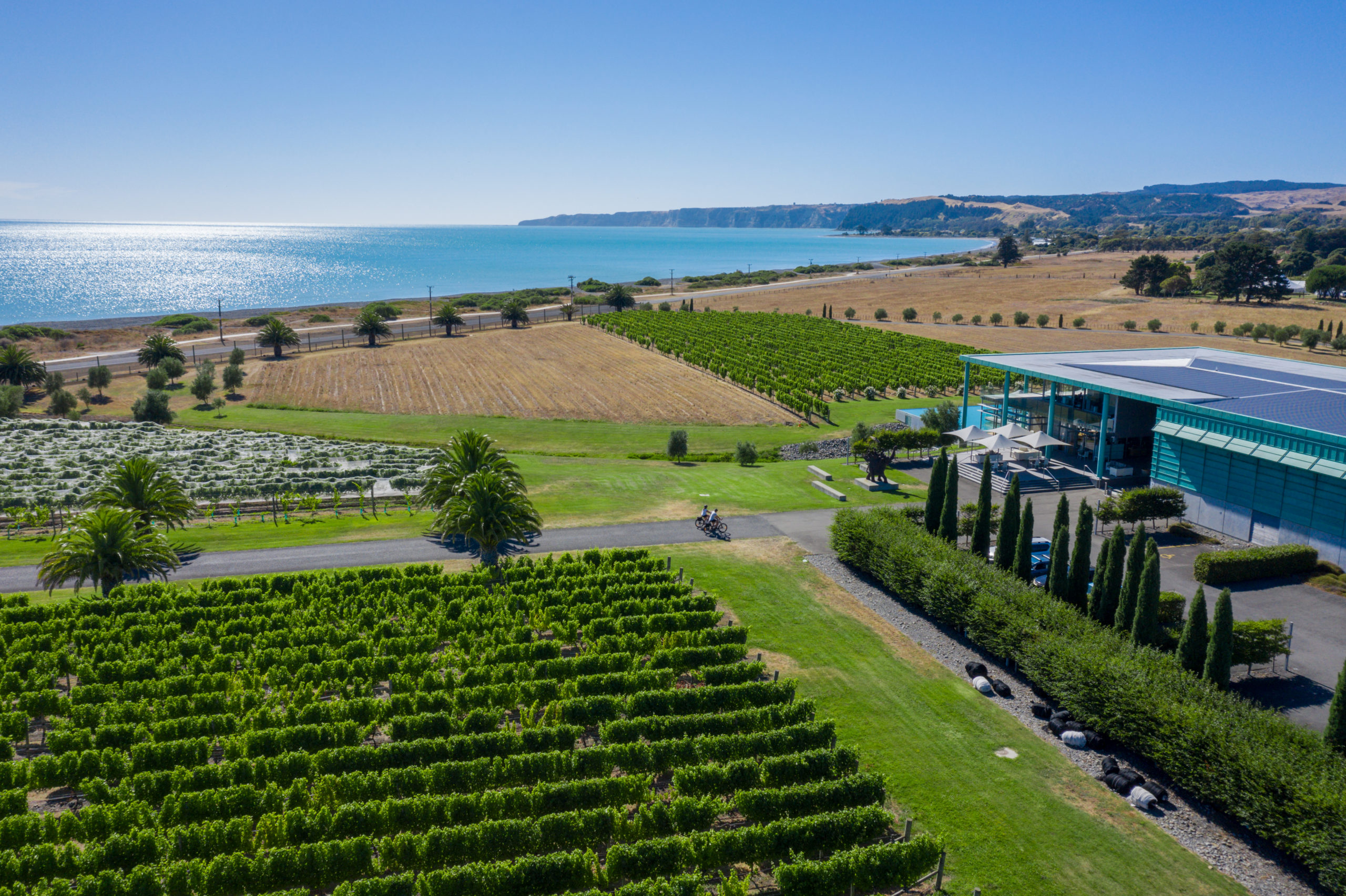 Climate change focus for Hawke’s Bay wine