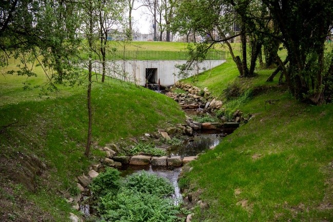 Porto’s Climate Adaptation: Strategies and Success Stories