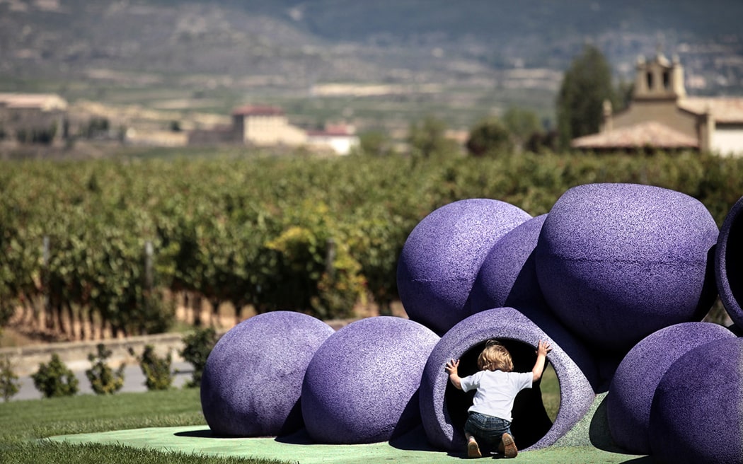 Unforgettable Adventures: Wineries to Visit with Kids in Rioja