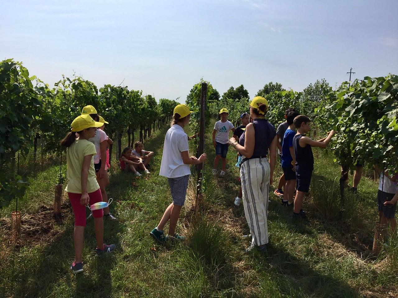 Ca’ Rugate (Verona) – The winery’s educational identity and new didactic paths for adults and children