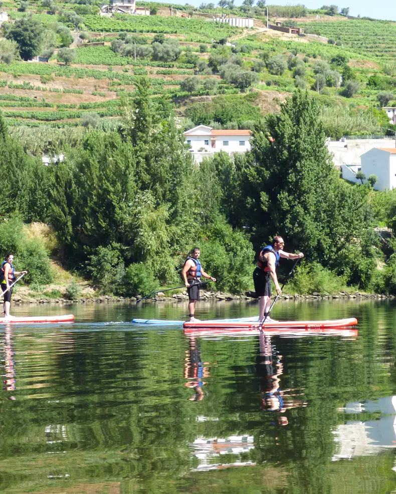 Activities for the whole family in the Douro and Vinho Verde wine regions