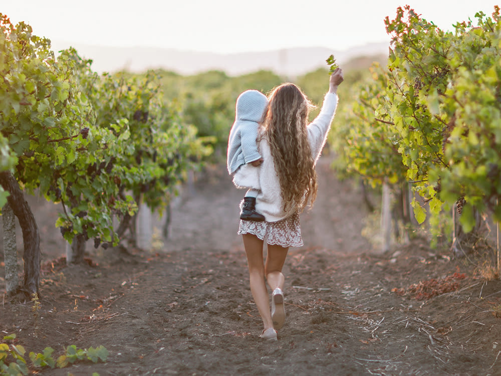 Family friendly activities in Napa Valley