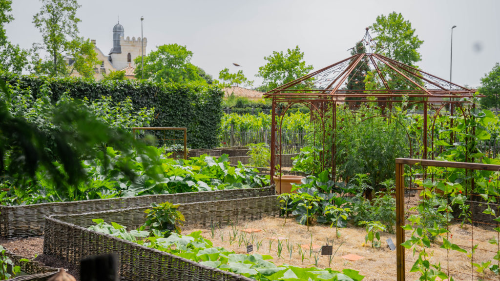 Kitchen garden