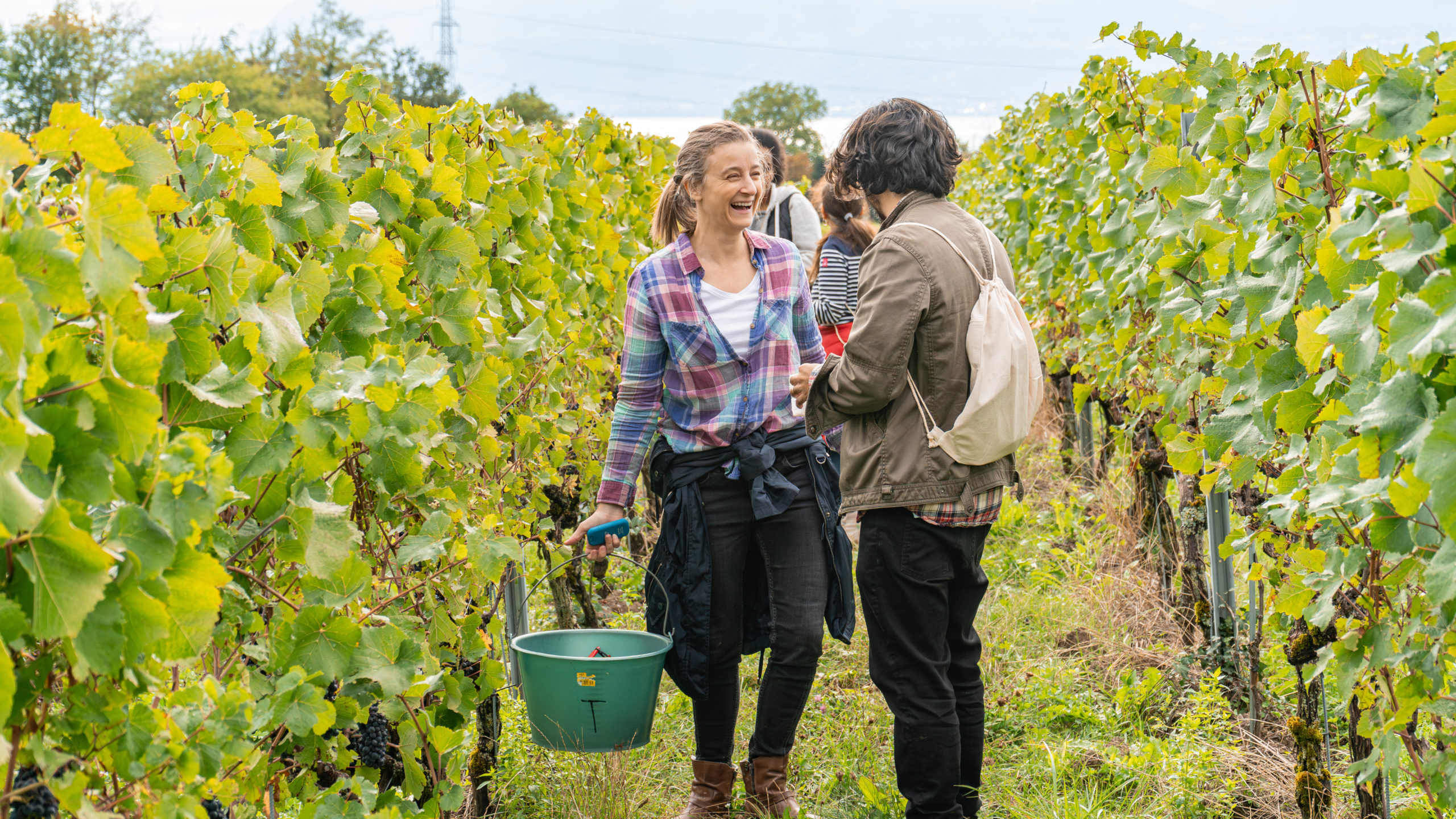 At the Heart of the Harvest