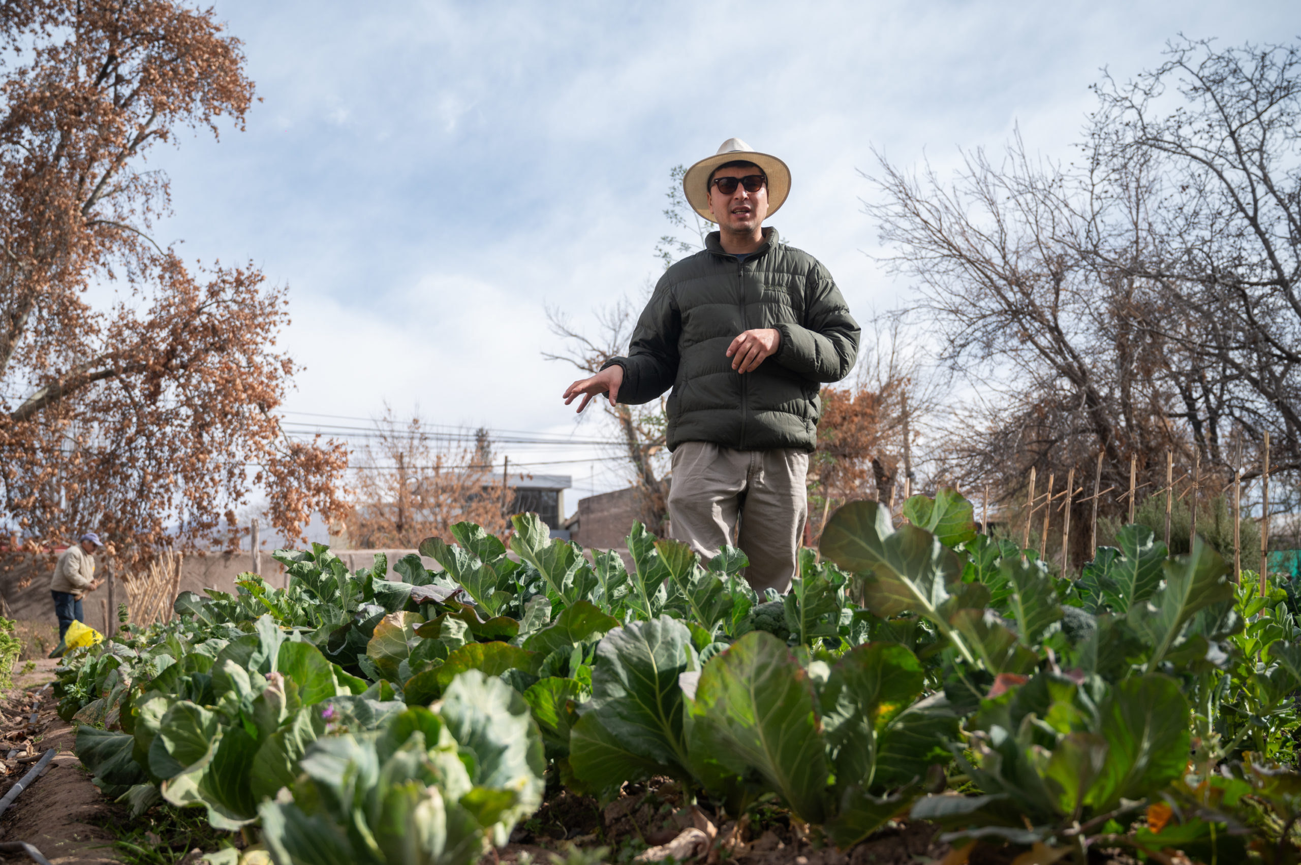 “Zonda Experience”, farm to table: sustainable gastronomy in harmony with the environment