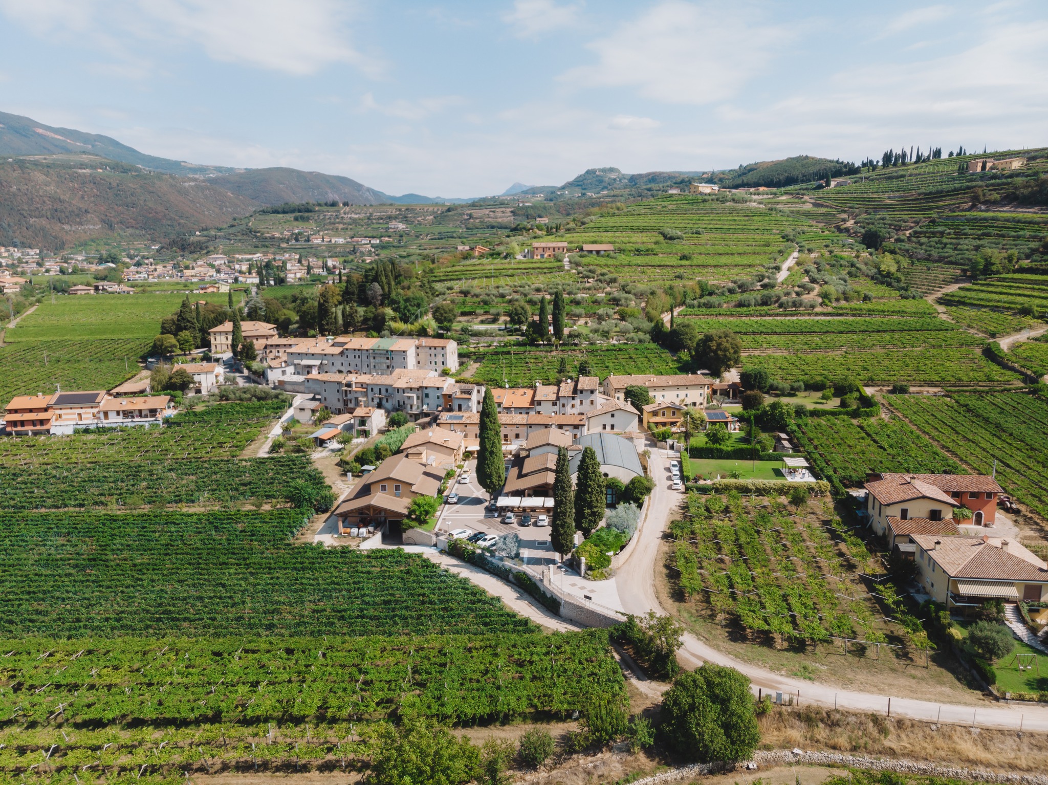 Azienda Agricola Valentina Cubi