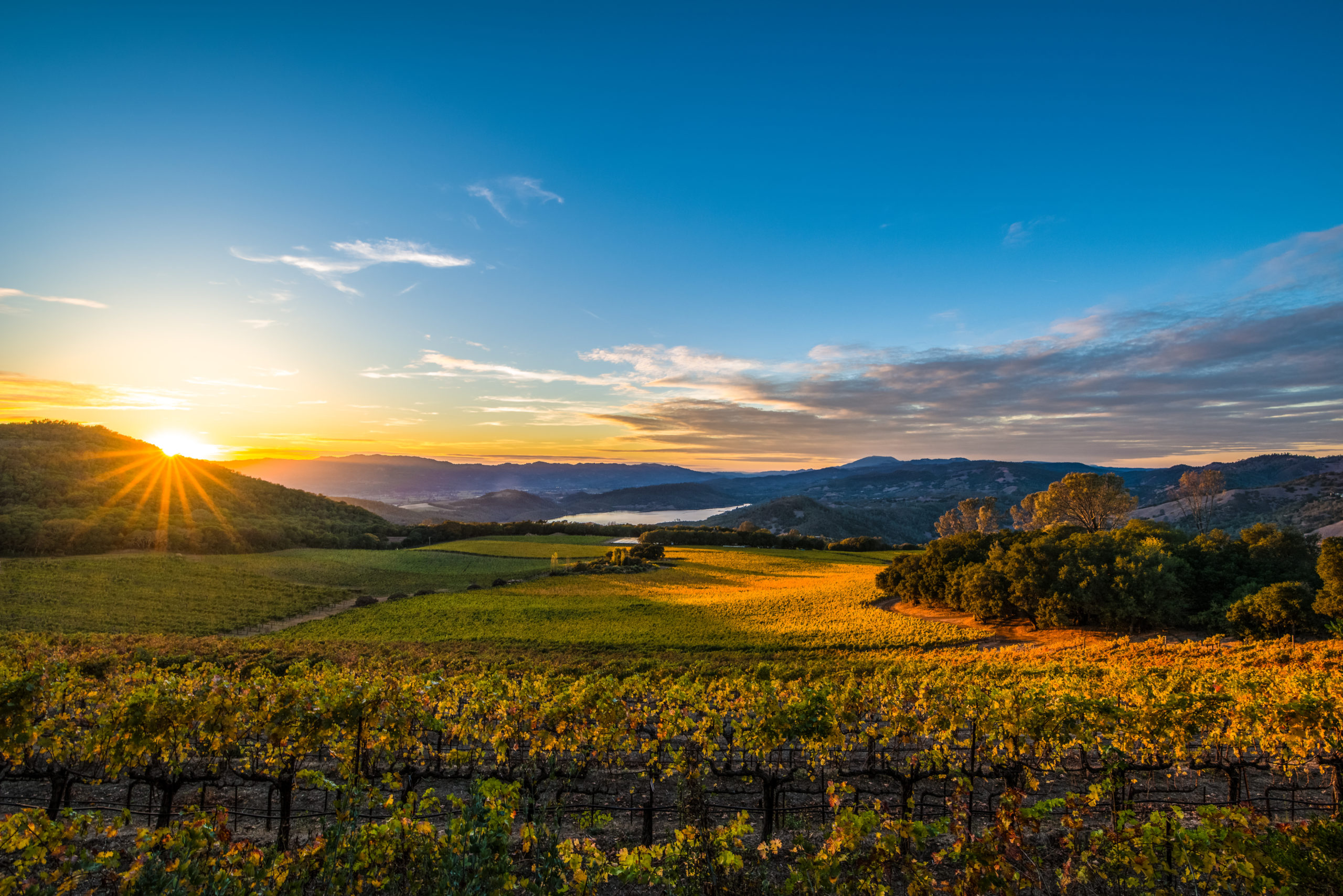 The car-free (and carefree!) way to enjoy Napa Valley