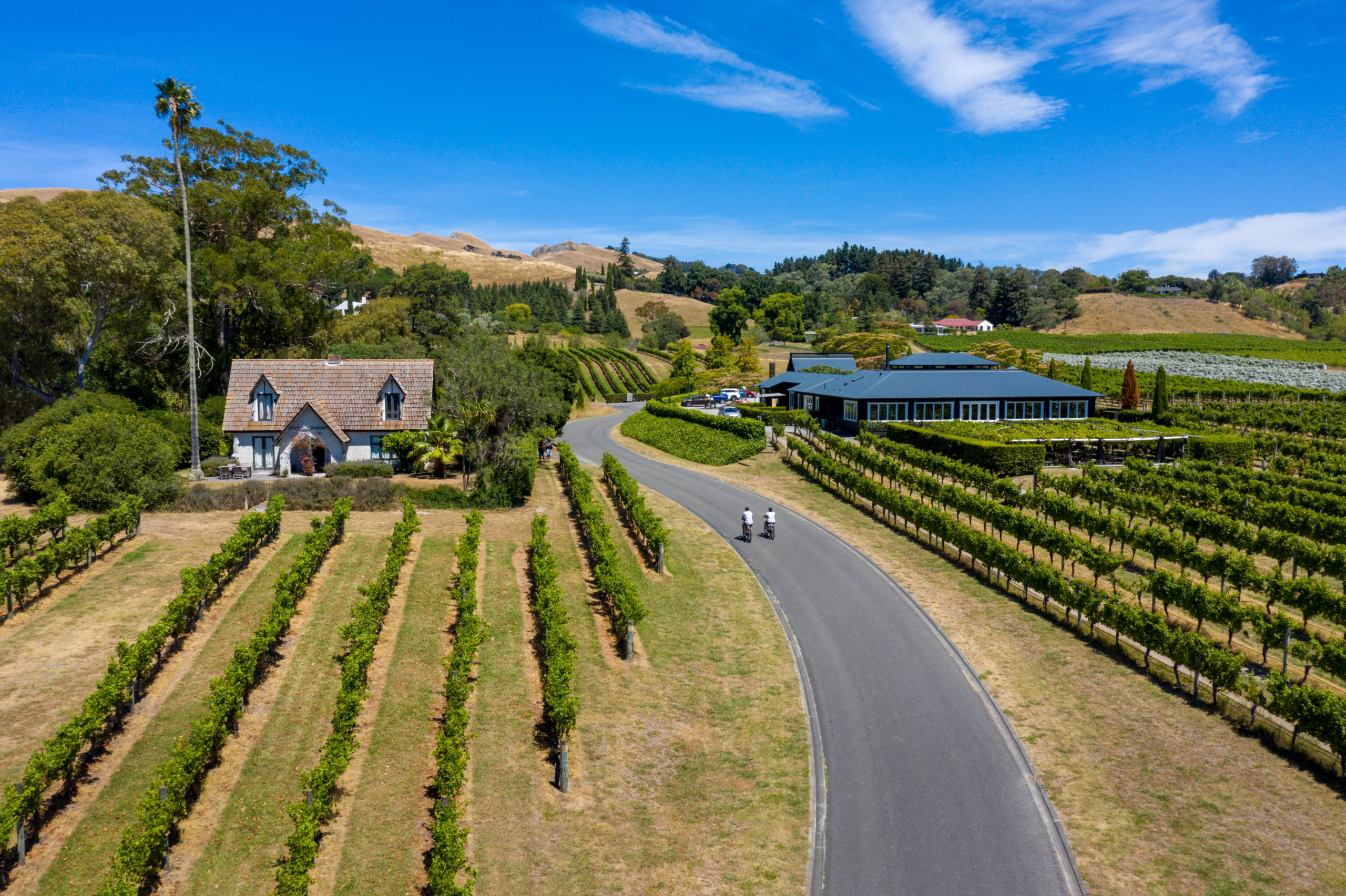 Exploring Hawke’s Bay’s epicurean landscape by bike