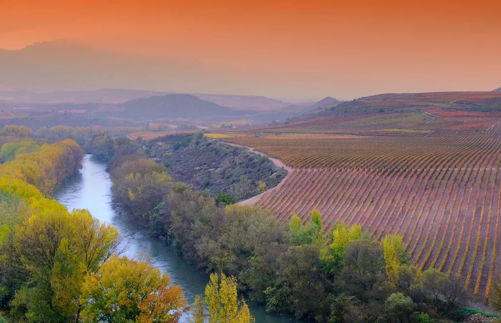 Ebro River Rioja Wine Landscape