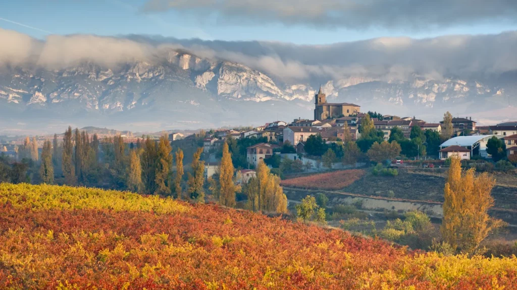 Laguardia Rioja Alavesa