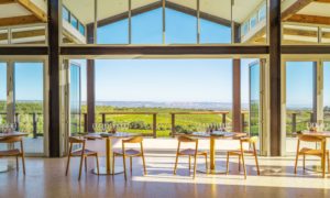 Dandelion Vineyards - 5 Stunning wineries