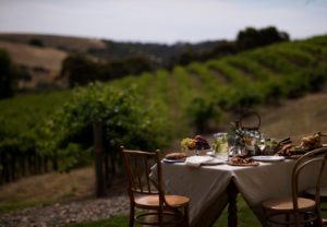 Chapel Hill winery - looking out over the vineyards - 5 Stunning wineries