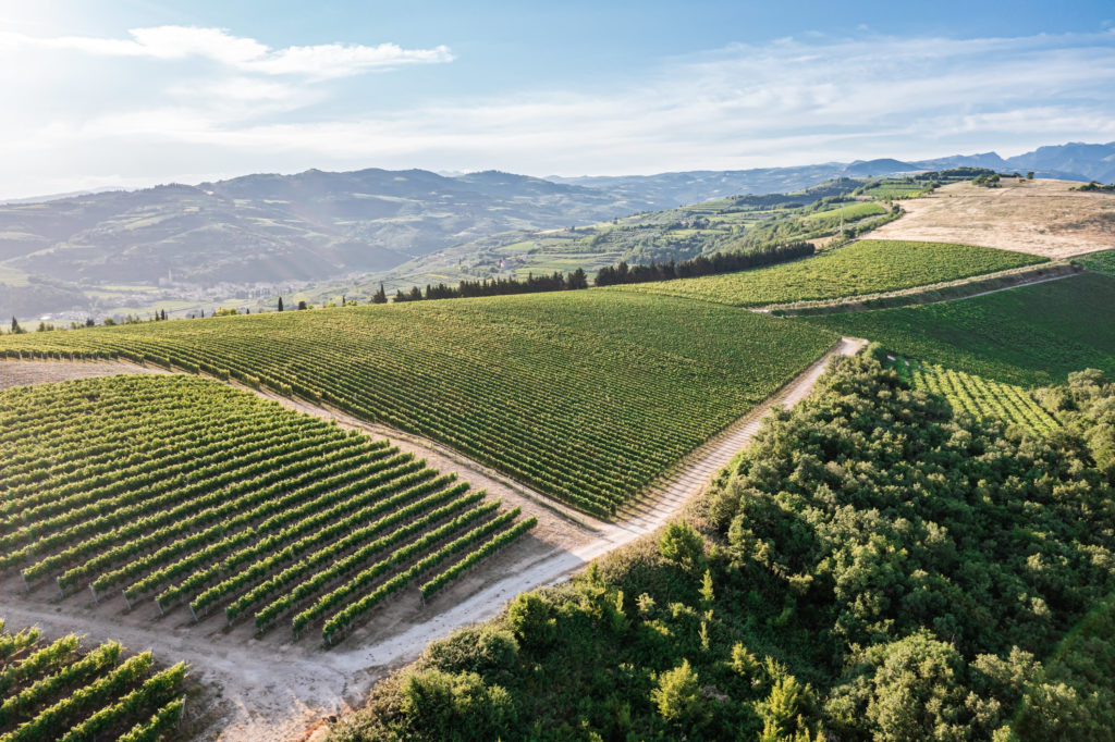 Pasqua Vigneti e Cantine