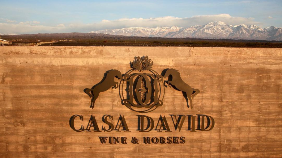 Wine, mountains and horses, the best blend of Mendoza