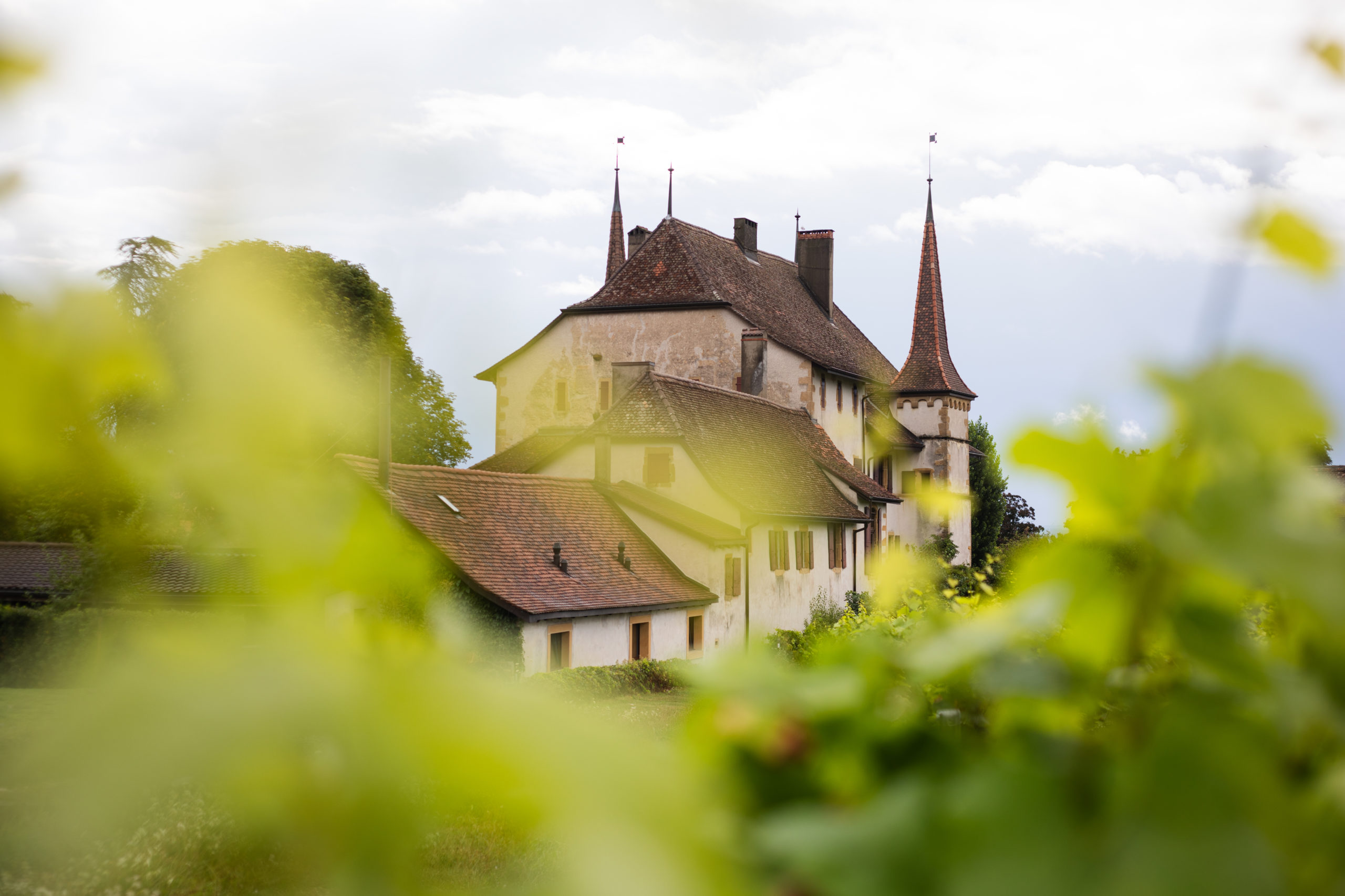 The Caves du Château d’Auvernier: a legacy of winemaking since 1603