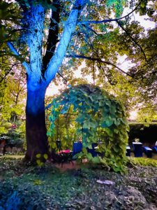 Garden lights, credit: Weingut J.G. Orb