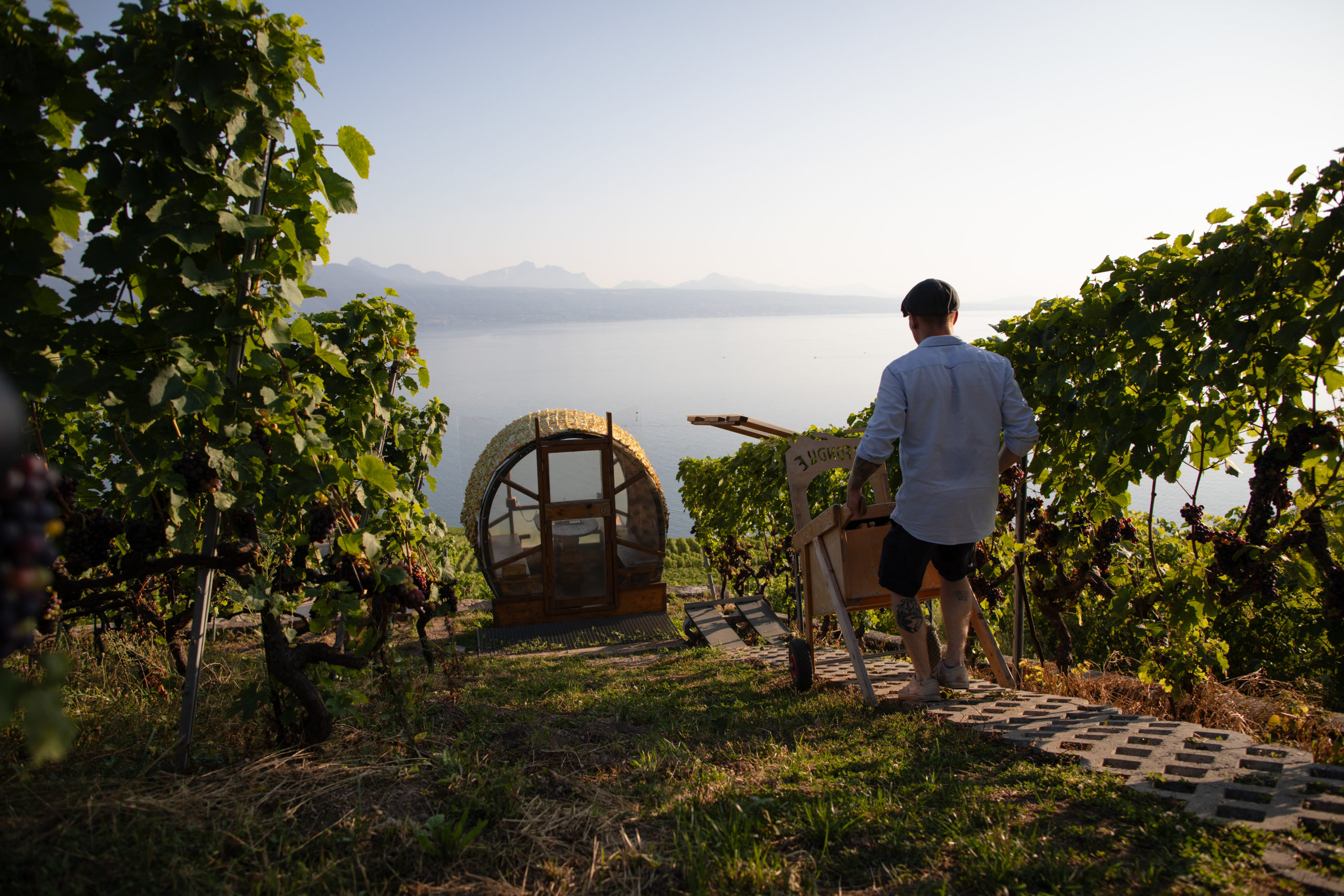 Domaine Vitis Musicalis: Innovation and tradition at the service of Lavaux wine tourism