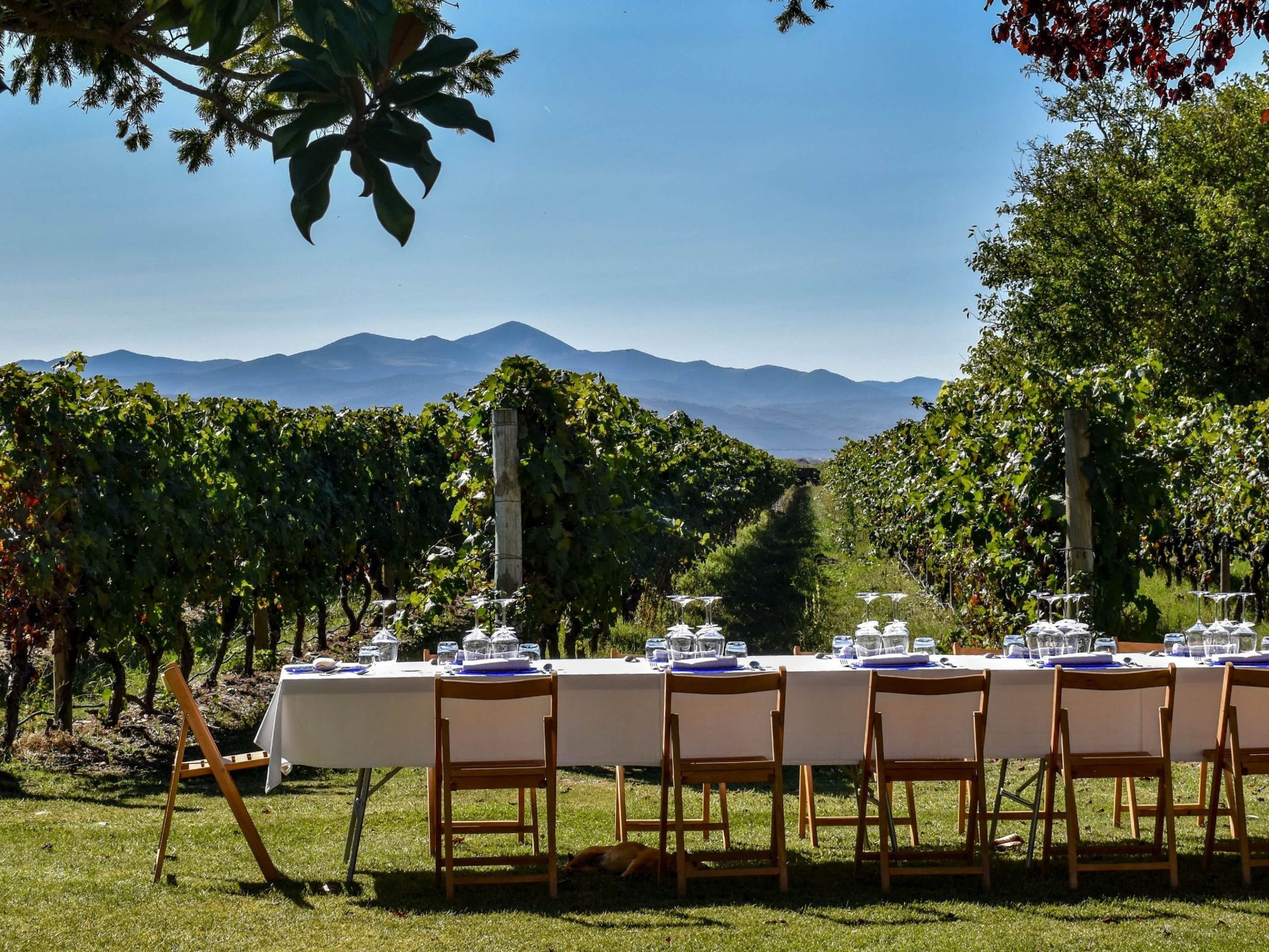 Finca La Emperatriz: Where Sustainability Is the Center of Wine Tourism