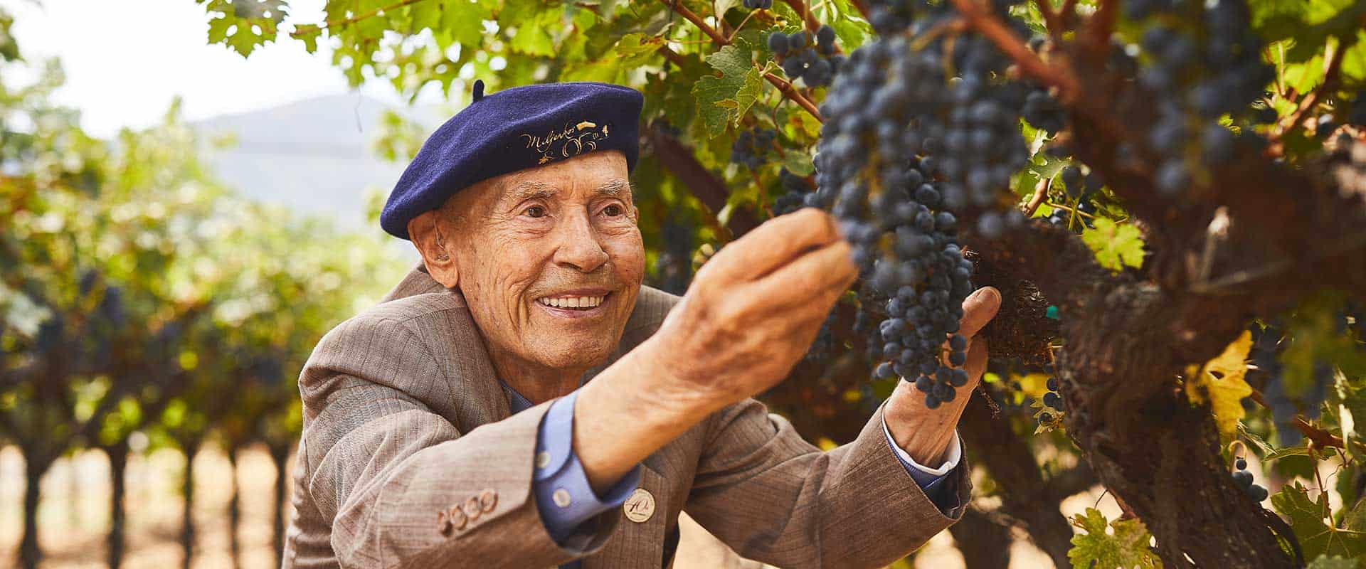 Winemakers Who Have Helped Make Napa Valley Famous