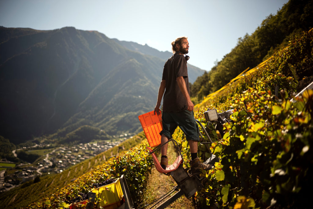 Valais © Olivier Maire