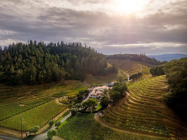 The Distinct Wine Regions of Napa Valley:  17 Appellations to Know