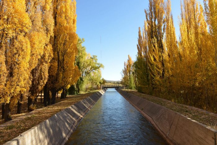 Water turns the dessert into wine oases