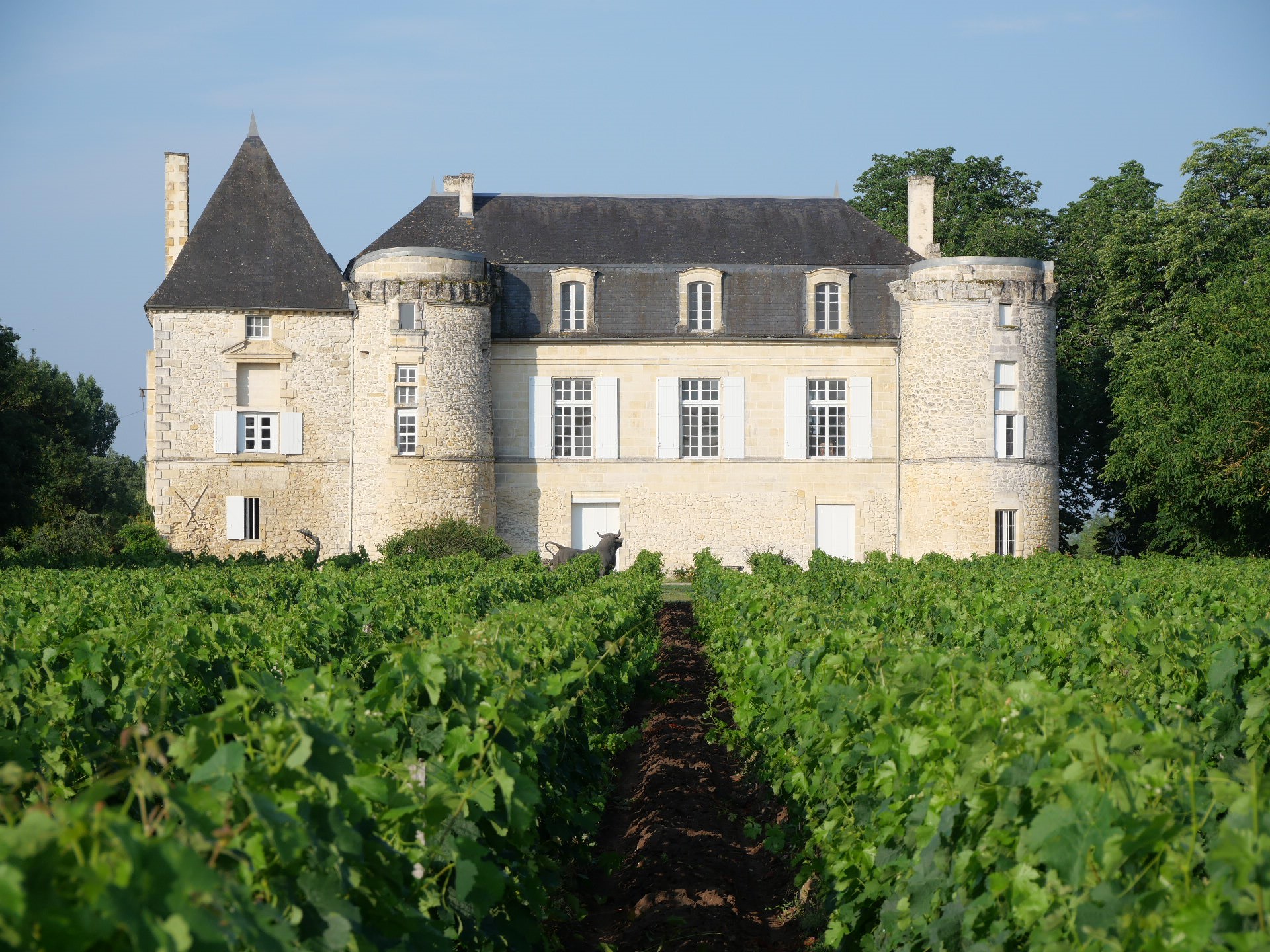 Welcome to Saint Emilion Château living at Château de Lescours